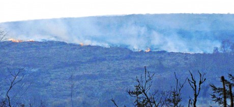 Gorse fire near Belleek