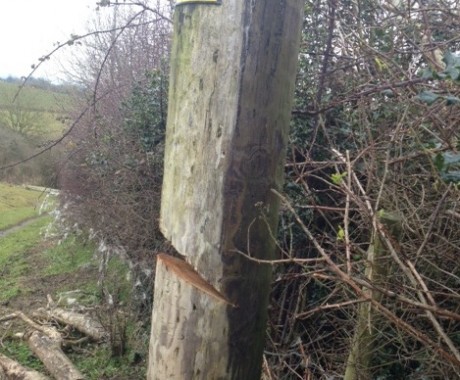 Damage caused to an electricity pole in Derrylin