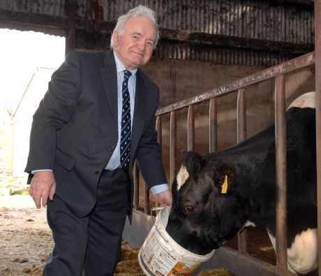 Harold Andrews feeding stock on his farm