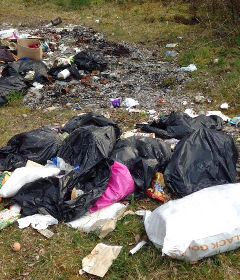 Debris is strewn across the ground at Spring Grove Forest near Roslea where there has been illegal dumping