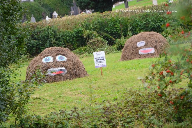These cheerful characters have been spotted at Monastery Meadows in Enniskillen    Picture: Ronan McGrade