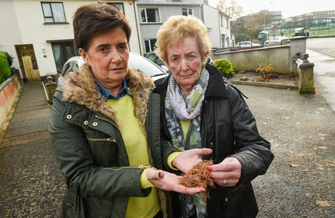 Helen Bonner and her mum Dorothy Foster are upset with the inconvenience caused by falling pine needles from trees on the Asda Enniskillen site onto Dorothy’s property 