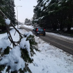 Motorists are being urged to take care on the roads.